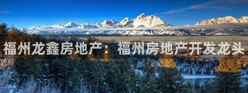 永利官网是什么