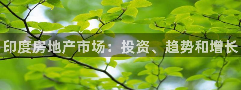 永利集团304am官方入口