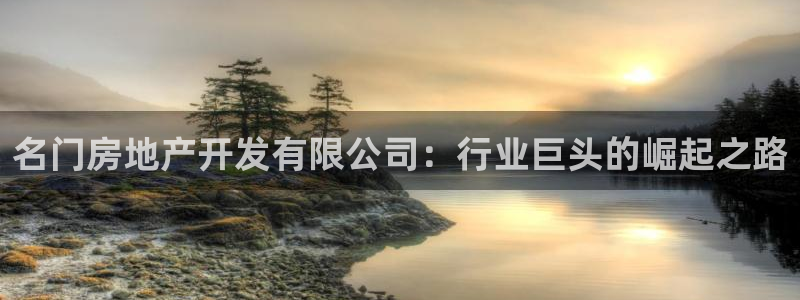 永利股份做什么