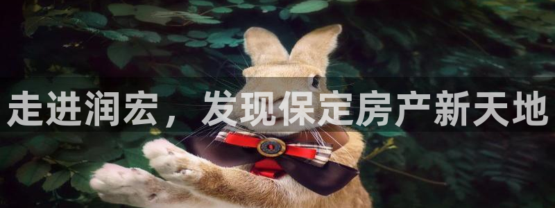 莱州永利集团
