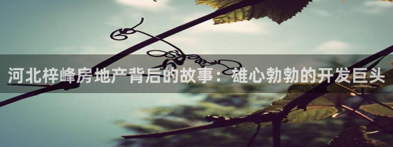 永利不给提款通道维护求助