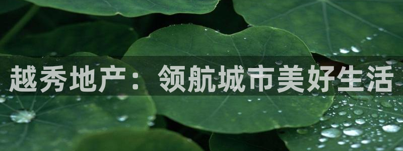 永利充值
