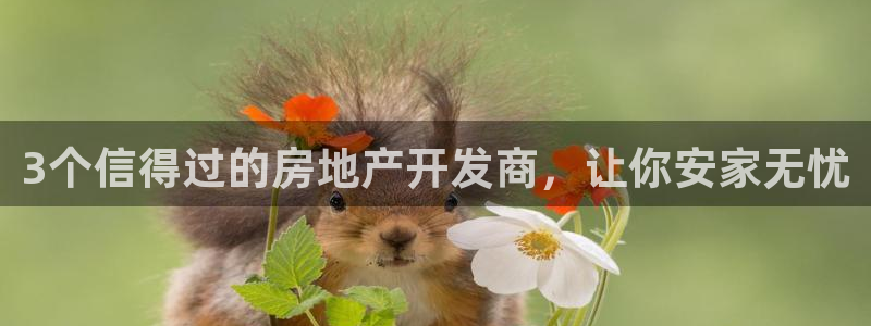 永利集团董事长简历