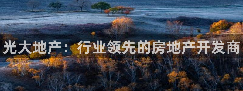 永利总裁