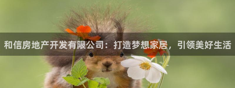 永利皮革