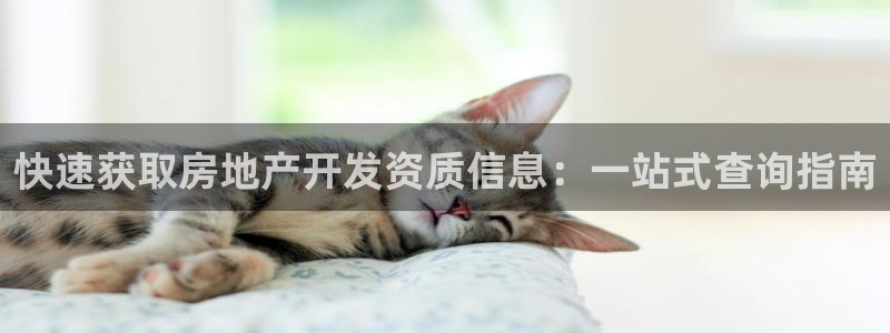 永利杯掼蛋
