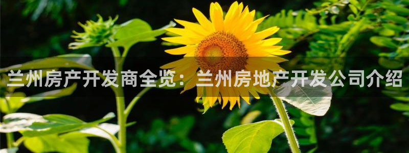 永利游乐城网址是什么