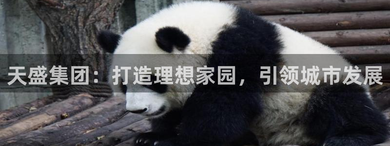 永利带钢