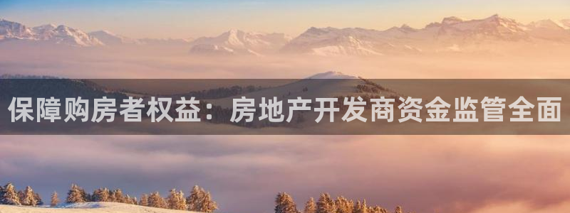 永利厂牌