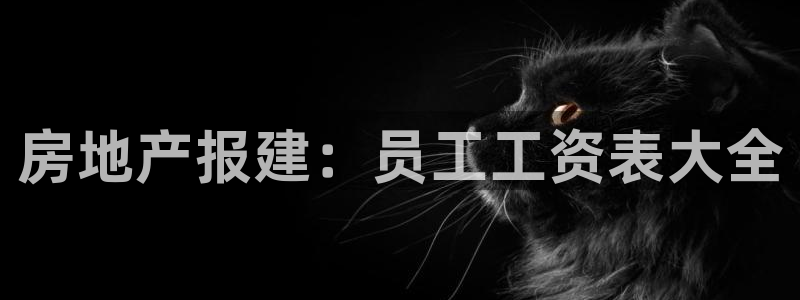永利集团董事长什么级别