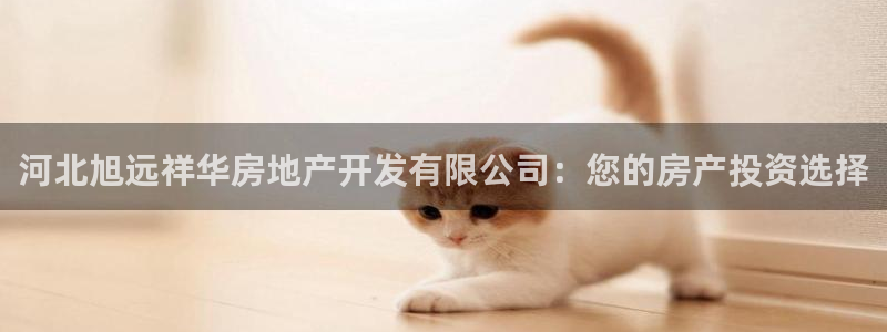 金沙永利夜总会怎么样