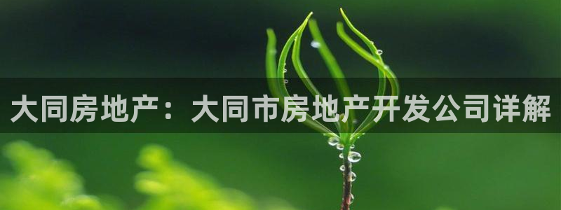 永利皮革有限公司招聘