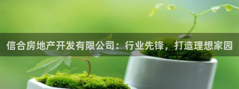 永利集团3044浏览器