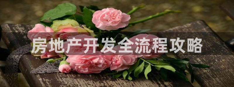 永利股份做什么
