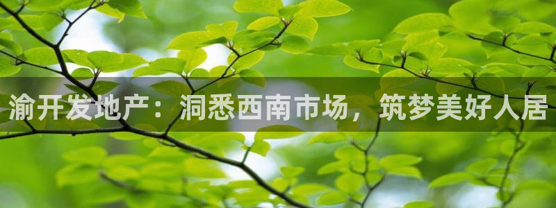 永利表行假货