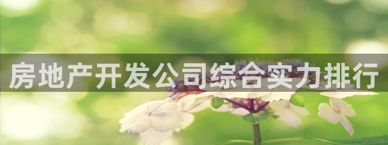 永利 股票
