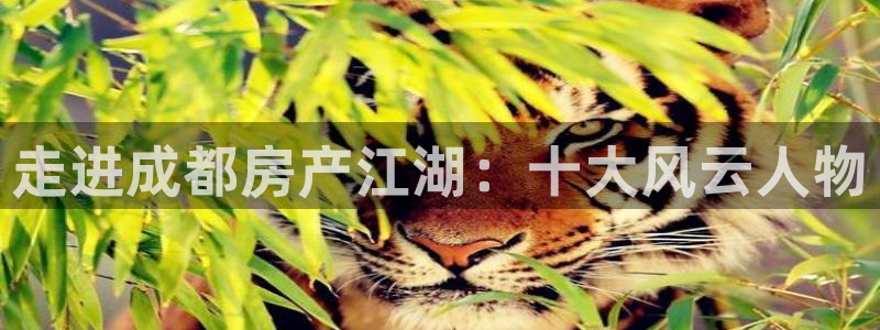 永利网是不是真的便宜