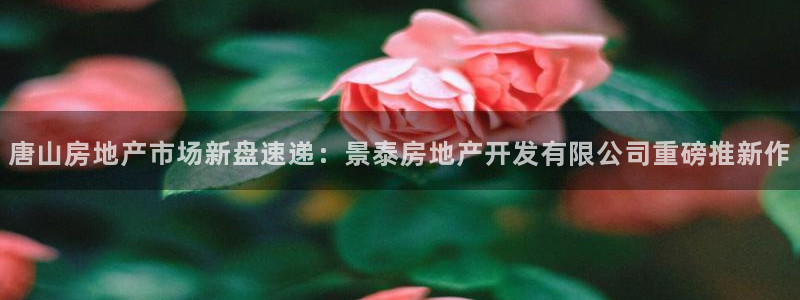 14m永利官网