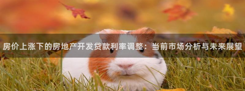为什么永利会打不开了