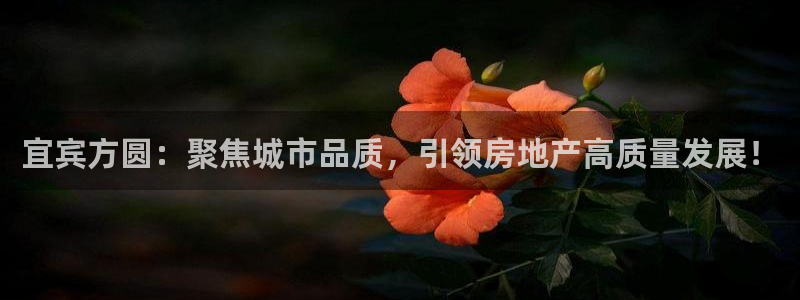 永利箱包厂