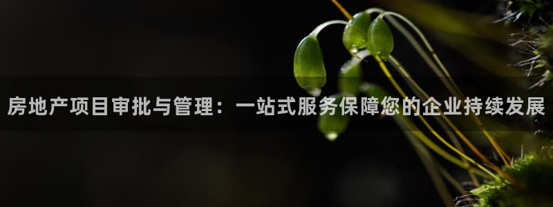 为什么永利会打不开了