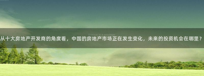 永利置业有限公司