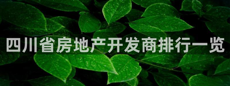 永利表行为什么那么便宜