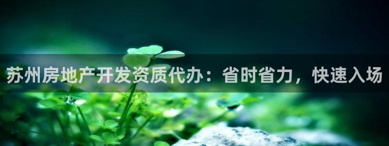 永利带业集团2020年的业绩状况