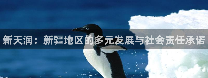 永利bet