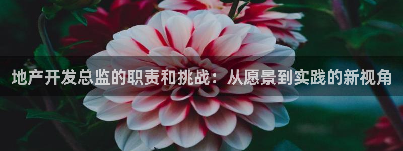 永利股份今日价