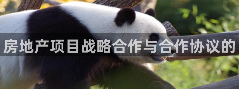 澳门永利购物中心